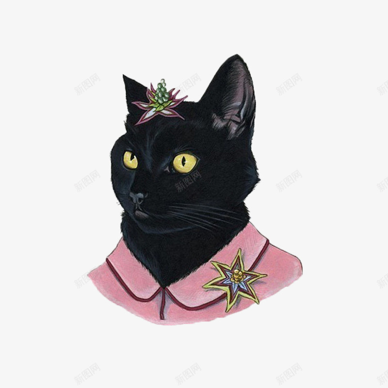 卡通小猫png免抠素材_88icon https://88icon.com 卡通 小猫 花朵 衣服 黑色