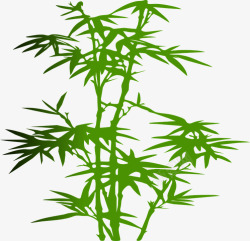 绘制绿色竹子竹叶素材