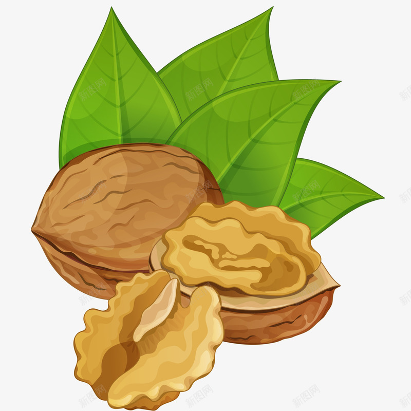 新鲜核桃插画矢量图ai免抠素材_88icon https://88icon.com 免抠PNG 坚果 山核桃 新鲜核桃矢量插画 核桃 秋季养生 绿叶 矢量图