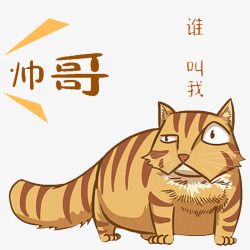 自恋的小花猫素材