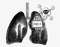 PM25检测仪肺部高清图片