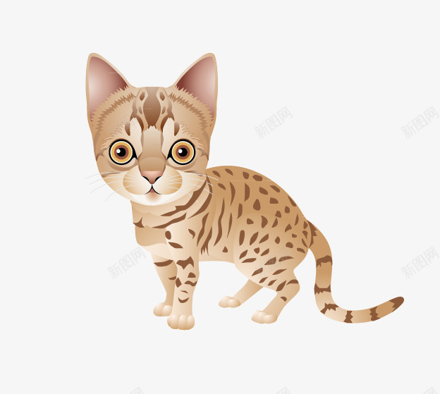 手绘小猫png免抠素材_88icon https://88icon.com 动物 可爱小猫 手绘小猫 猫咪 花猫