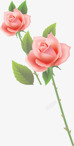 精美粉红色玫瑰花矢量图素材