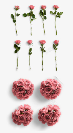 季节海报情人节玫瑰花透明元素高清图片