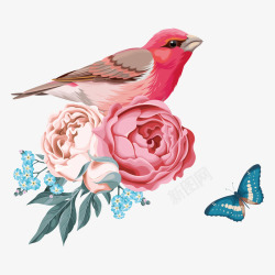 冬季鸟插画母亲节美丽的花朵插画装饰矢量图高清图片