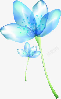 蓝色花卉背景七夕情人节素材