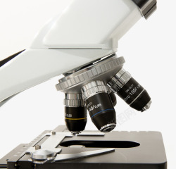 生物学家显微镜高清图片
