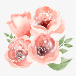 水彩绘4朵粉色玫瑰花矢量图素材