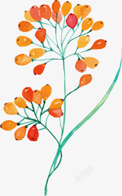 手绘小清新水彩植物浆果矢量图素材