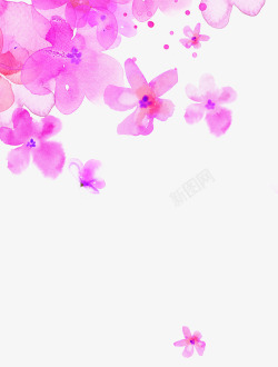 手绘粉色水彩花朵装饰春天素材