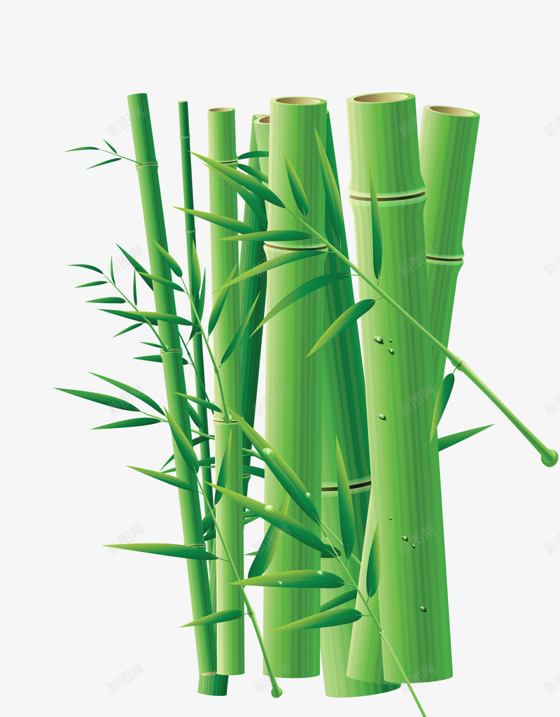 扁平彩绘风格新鲜的竹子png免抠素材_88icon https://88icon.com 彩绘 扁平 新鲜 竹子 风格