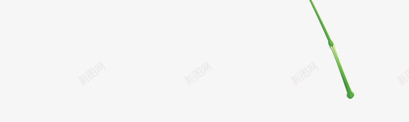 扁平彩绘风格新鲜的竹子png免抠素材_88icon https://88icon.com 彩绘 扁平 新鲜 竹子 风格