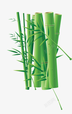 扁平彩绘风格新鲜的竹子素材