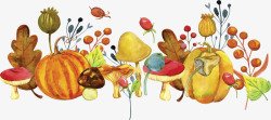 南瓜果实手绘秋季蘑菇南瓜矢量图高清图片