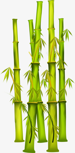 简约绿色竹子竹叶素材