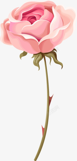 手绘水彩粉色玫瑰花素材