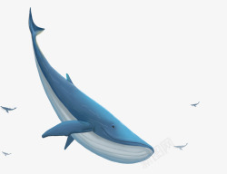 全国海洋日手绘国际海洋日海洋生物插画鲸鱼高清图片