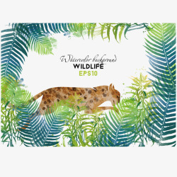 手绘的豹子热带树林里的豹子插图矢量图高清图片