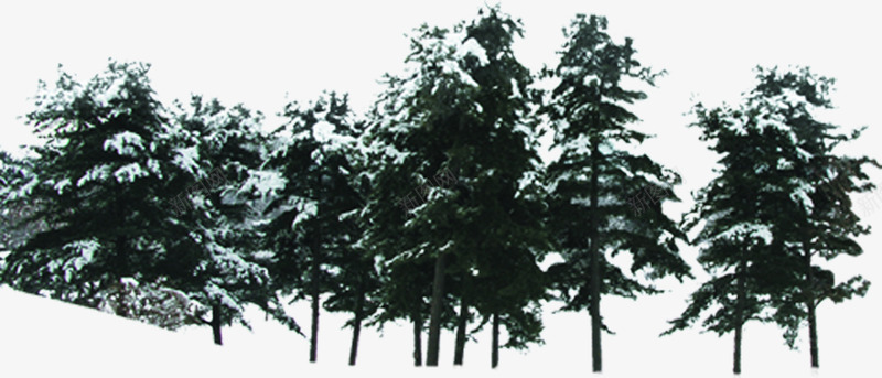 冬季森林风景树木png免抠素材_88icon https://88icon.com 冬季 树木 森林 风景