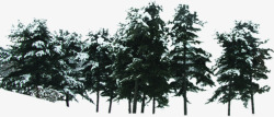 冬季森林风景树木素材