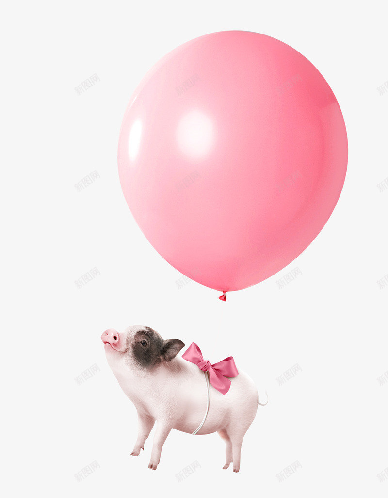 猪年可爱粉色气球的猪海报装饰png_88icon https://88icon.com 2019猪年 可爱猪 可爱粉色气球的猪 大肥猪 新年 猪年 猪年海报装饰