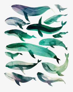 水彩鲸鱼蓝鲸高清图片