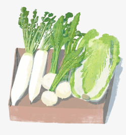 卡通手绘大白菜大萝卜素材