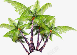绿色椰树度假美景素材
