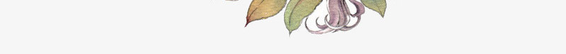 手绘唯美森林系女孩png免抠素材_88icon https://88icon.com 卡通 唯美 手绘 手绘插画 插画 梦幻 森系