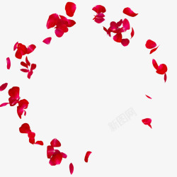 景装饰设计矢量情人节红色玫瑰瓣飘零布景高清图片