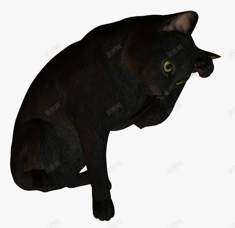 黑猫png免抠素材_88icon https://88icon.com 伸懒腰黑猫 动物 小猫 小猫咪 猫咪 野猫 黑猫