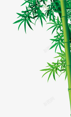 绿色清新竹子装饰图案素材