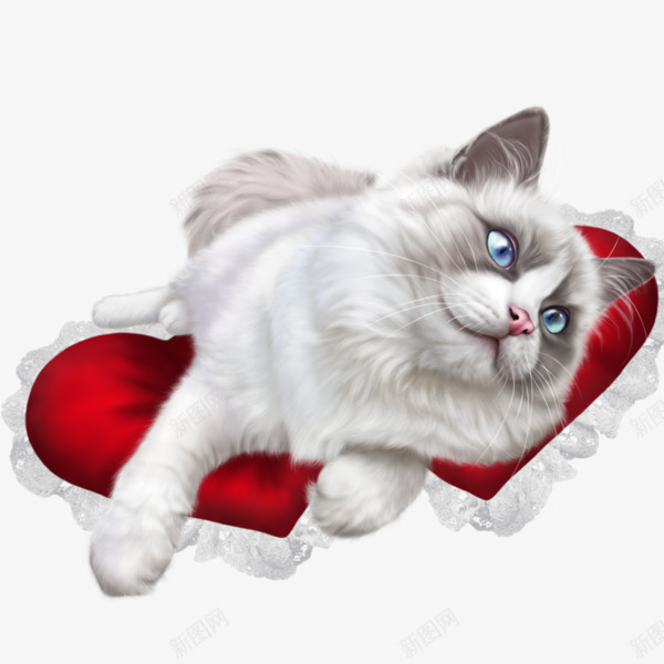 白色小猫png免抠素材_88icon https://88icon.com 可爱 小猫 枕头 爱心