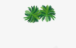 椰树海边度假植物素材
