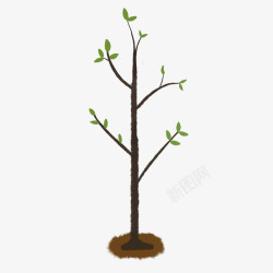 世界植树植树节小树苗插画高清图片