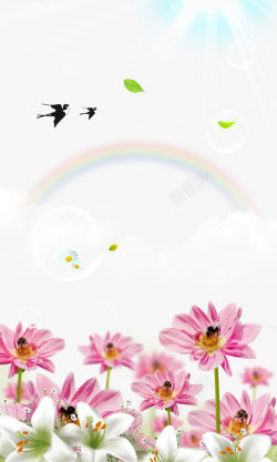 夏日彩虹花朵背景图素材