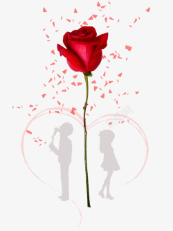314白色情人节情侣与玫瑰花素材