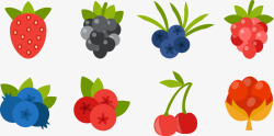 蓝莓浆果卡通各种水果图标高清图片