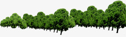 绿色树林美景园林森林素材