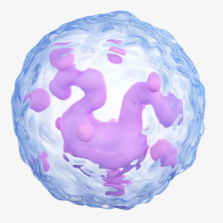 3D细胞模白细胞3D立体插画高清图片