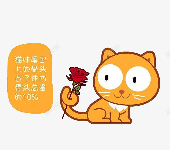 小猫尾巴上的玫瑰花png免抠素材_88icon https://88icon.com 动物 卡通 喂养 宠物 小猫 小猫咪 尾部 猫 猫咪 猫咪胡子 玫瑰花 胡子 胡须