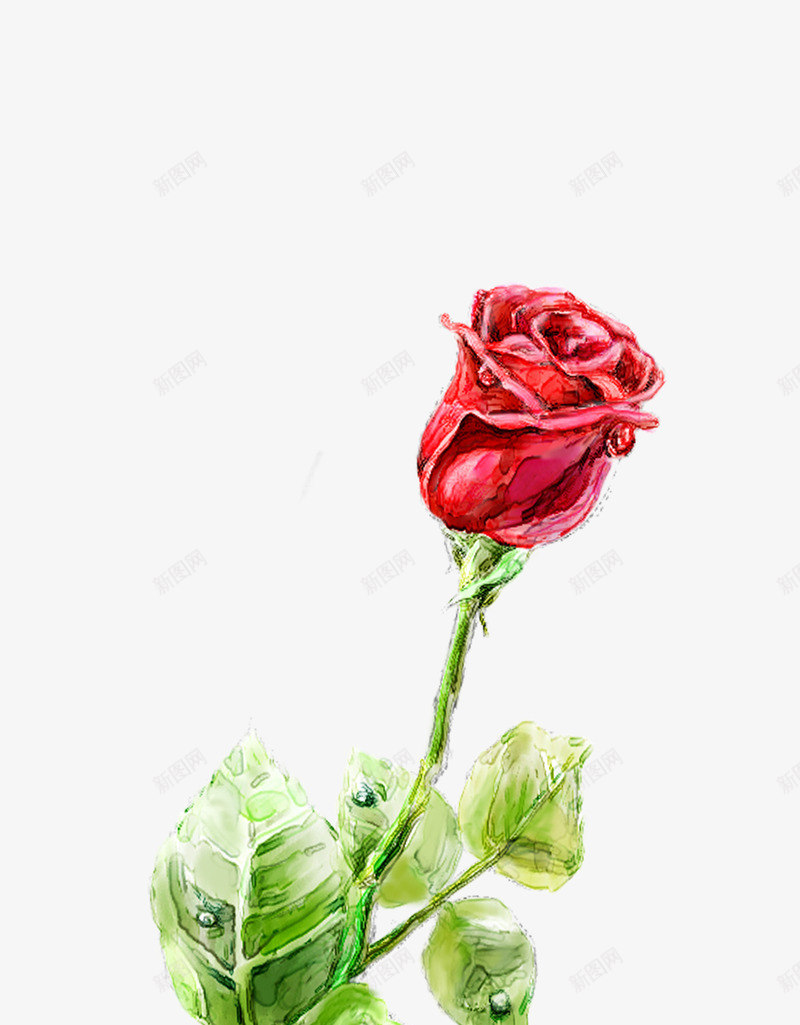 手绘玫瑰七夕情人节节日元素png免抠素材_88icon https://88icon.com psd 七夕情人节节日元素 手绘玫瑰 玫瑰 白色 高清图