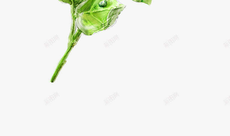 手绘玫瑰七夕情人节节日元素png免抠素材_88icon https://88icon.com psd 七夕情人节节日元素 手绘玫瑰 玫瑰 白色 高清图