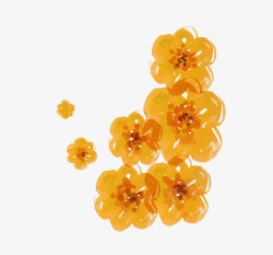 秋花秋花高清图片