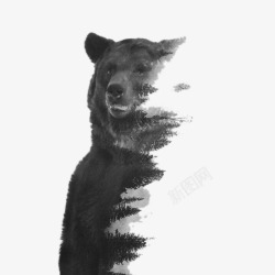 树林创意创意插画狗熊与树林高清图片