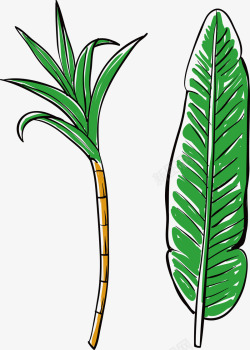 手绘热带植物甘蔗芭蕉矢量图素材