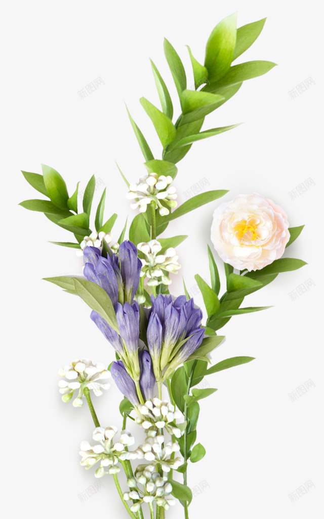 手绘一束鲜花png免抠素材_88icon https://88icon.com 免抠图 抠图 插画 植物 花朵 装饰图 鲜花