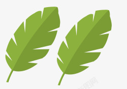 扁平化绿色图案装饰叶子矢量图高清图片