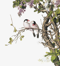 树枝上的小鸟手绘插画素材