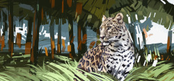 芭蕉森林和豹子背景素材